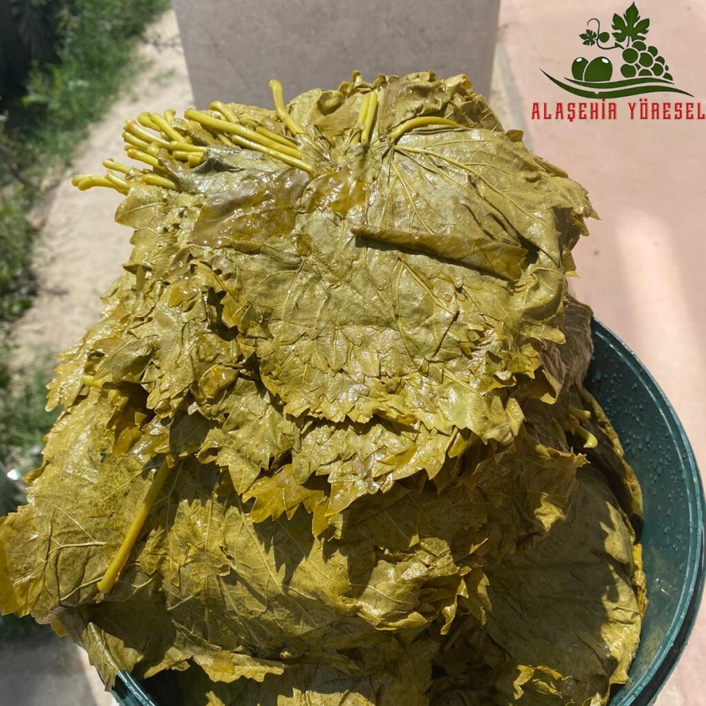 4E0A9A62 FFAA 4068 A3E5 AE8FB30E26E9