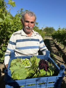 Hakkımızda 4 IMG_2906