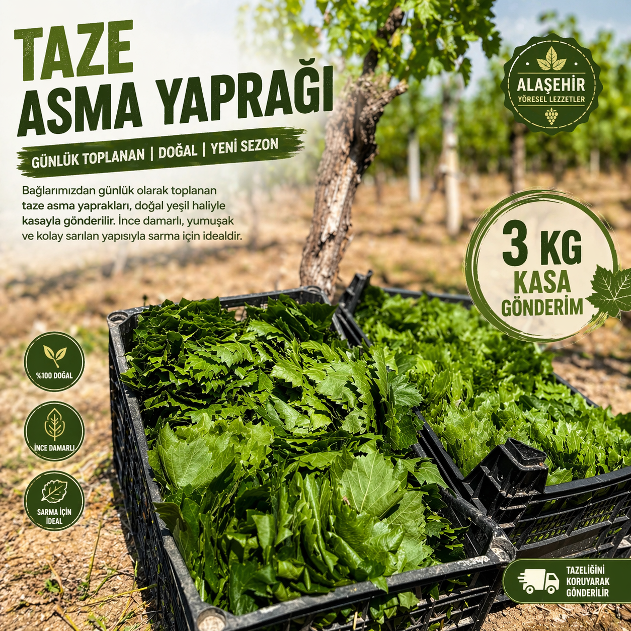 2026 YENİ SEZON TAZE YEŞİL UÇ YAPRAK NET:3KG 1 2026 YENİ SEZON TAZE YEŞİL UÇ YAPRAK NET:3KG